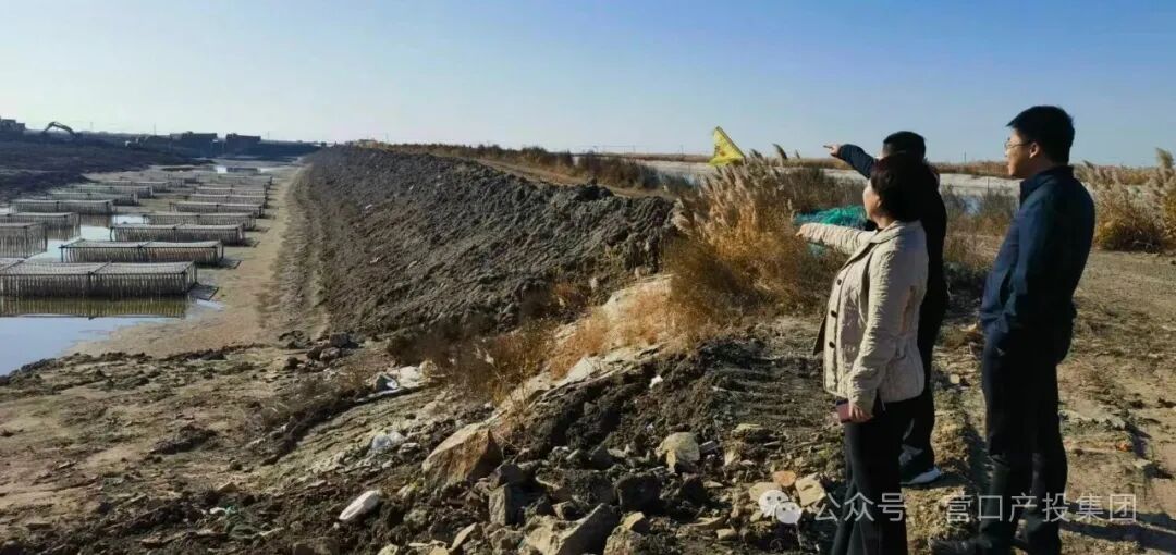 1764058819227546.jpg 02.jpg